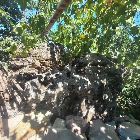Rock Mountain House *